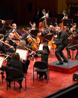 Isidore String Quartet New York