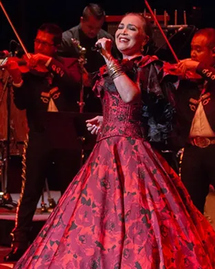 Aida Cuevas Bronx