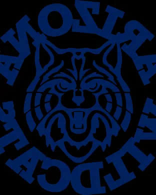 Arizona Wildcats Basketball New York