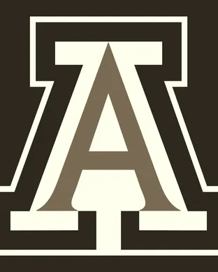 Arizona Wildcats New York