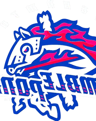 Binghamton Rumble Ponies Bridgewater