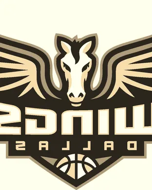 Dallas Wings Brooklyn