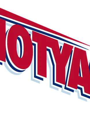 Dayton Flyers Dayton