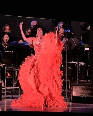 Diana Ross Stamford