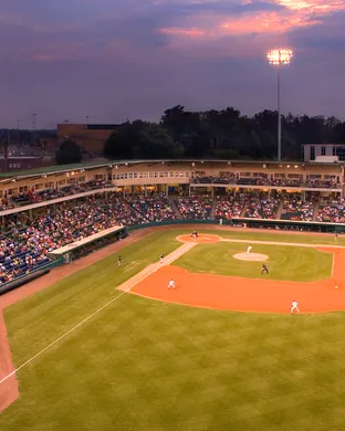 Greenville Drive Lakewood