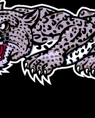 Lafayette Leopards Football New York