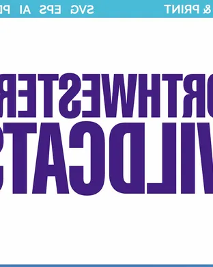 Northwestern Wildcats Evanston