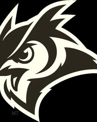 Rice Owls Football Houston