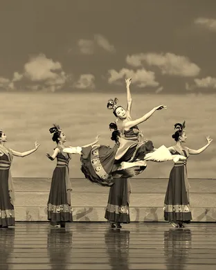 Shen Yun Performing Arts Purchase