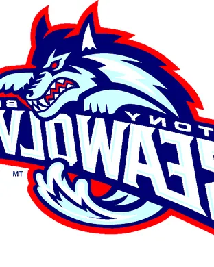 Stony Brook Seawolves Football Bronx