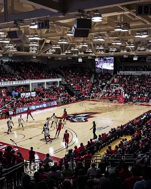 Stony Brook Seawolves Bronx