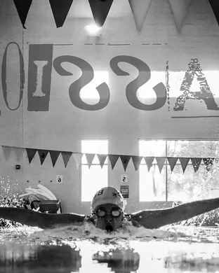Swim New York