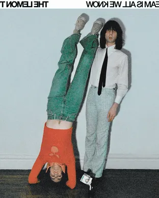 The Lemon Twigs Asbury Park