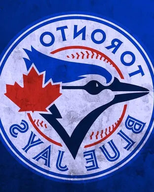 Toronto Blue Jays Bronx