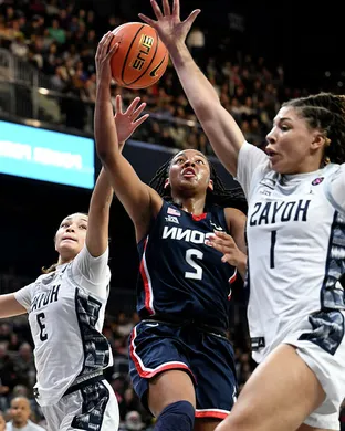 UConn Huskies Women's Basketball Brooklyn