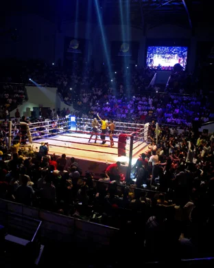 Matchroom Boxing: Andy Ruiz Jr. vs. Damian Knyba