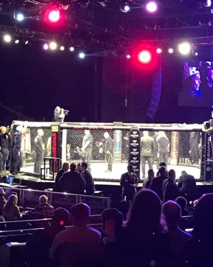 Ragin Fighting Championship White Plains